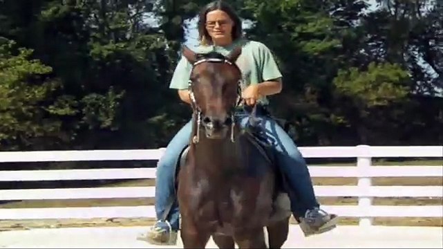 Style Racking Speed Racking Horse for Sale SOUND! Flat Shod! Price Reduced $3900