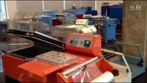 2 in 1 sealing & shrink wrapping packing machine for tea box heat shrink film packager