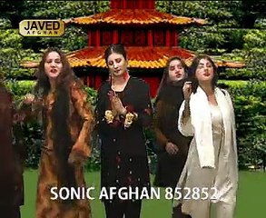 Nazia Iqbal - Neshta De Zama Pa Shaan