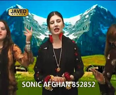 Nazia Iqbal - Pa Zra Me Raware Ge