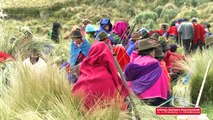 Provincia de Chimborazo Obra Consejo Provincial J.R. Audio Video Juan Ramon González