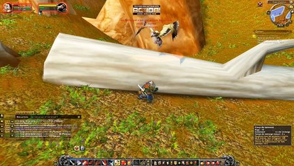 warcraft (  la recette du cassoulet  )  161