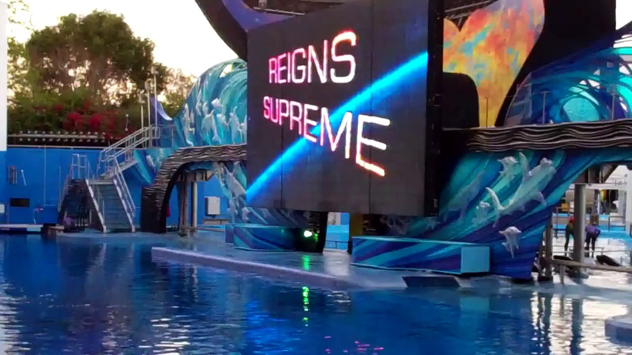 Shamu Rocks at SeaWorld Orlando - 03.12.12 - 1/3
