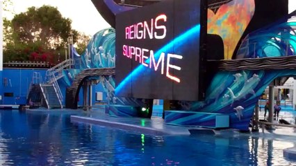 Shamu Rocks at SeaWorld Orlando - 03.12.12 - 1/3