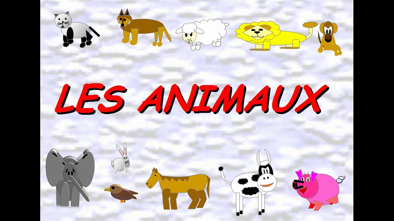 Apprendre le nom des animaux en espagnol, los animales