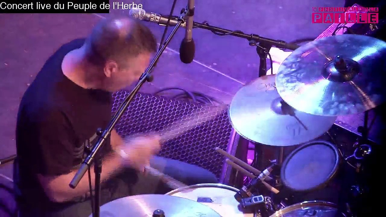 CONCERT - LE PEUPLE DE L'HERBE - La Paille 2015 - REPLAY