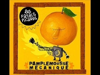 Et puis merde ,je vote à droite !