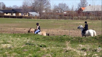 3 days of pony jumping (incl. Sally falling off AGAIN!)
