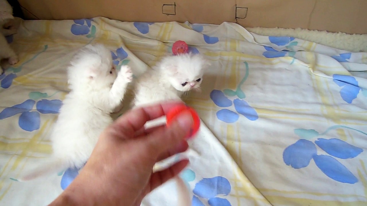 mes bébés 1 mois nés le 7 juillet 2015