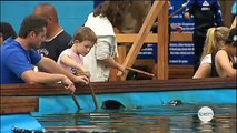 Shark & Ray Feeding | Australian Shark and Ray Centre (Sean Lynch, The Circle)