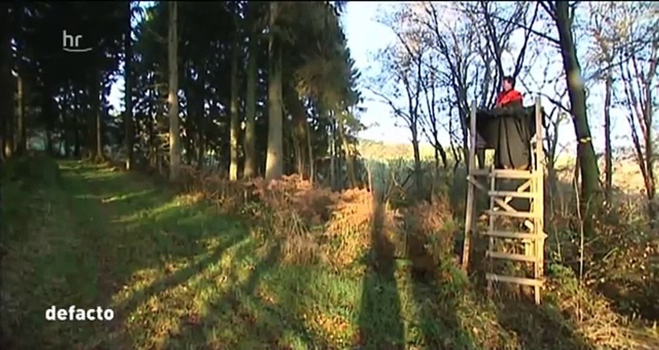 Mehr Füchse denn je ? - Dem Jäger sei Dank !