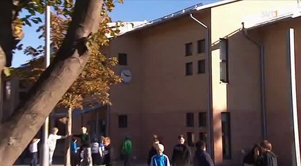 Hipp Hipp - Kuratorn del 1