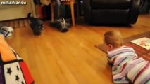 Best Of Babies Laughing Hysterically At Dogs And Cats Compilation 2014 [NEW]