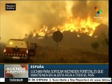 España: alerta roja por incendios forestales