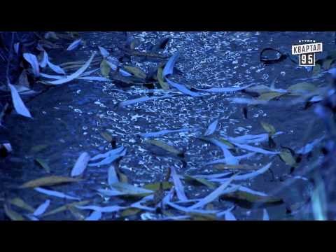 Федор Добронравов - Упал последний лист - Сваты 6