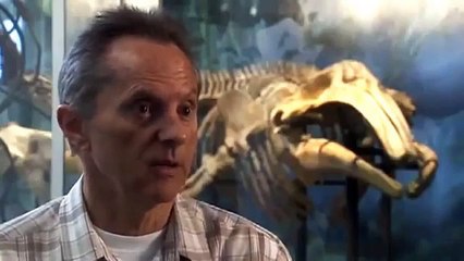 Discovery Channel Animals | Animal Planet | Shark Documentary #2015 HD