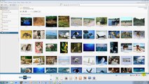Comment gérer et classer ses photos avec Picasa