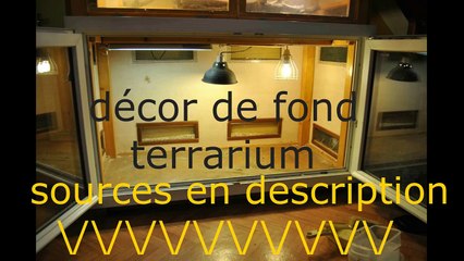 TuTo #8 : décors de fond terrarium désertique