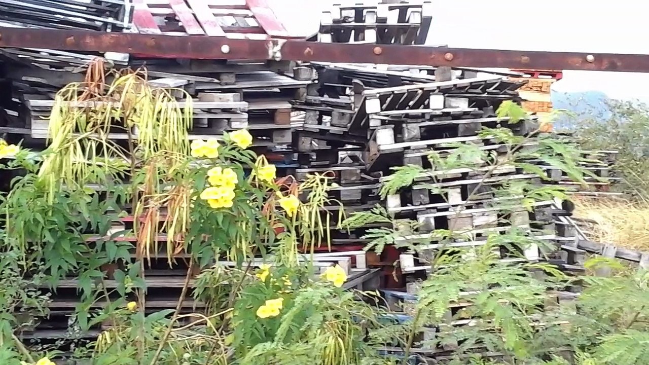 Pont de la Rivière des Galets~Route Forestière de Cambaie,Île de la Réunion.