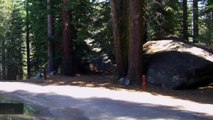 California Child Contracts Plague In Yosemite National Park