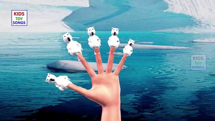 Finger Family Bear Cartoon Family Nursery Rhyme | Animal Finger Family | Bear Finger Family 3D Songs