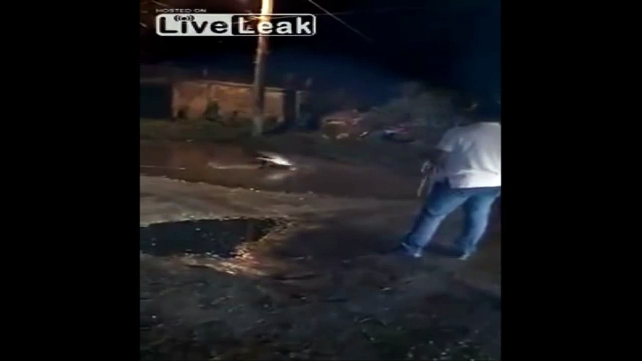 LiveLeak - Dog gets too close to crocodile