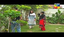 Akeli Full Episode 14 Full HUM TV Drama 7 August 2015