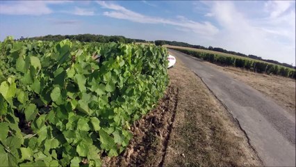 2015 Mercedes AMG GT Test Drive