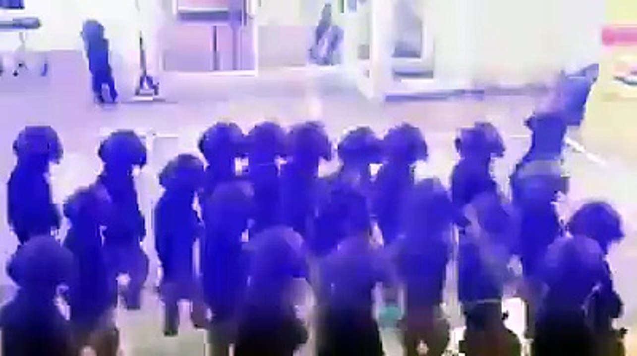 rave party de chiots