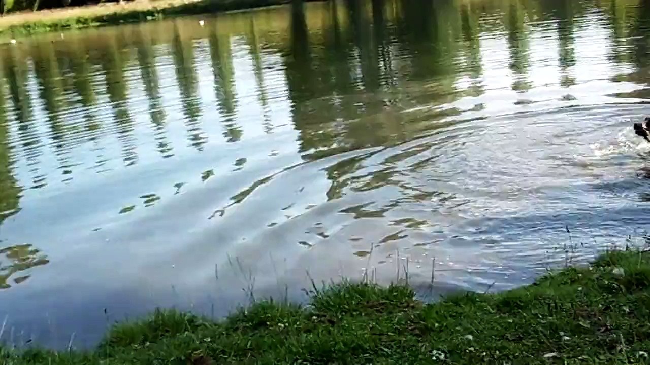 nala au lac