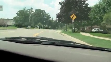 Puppy Burned To Death