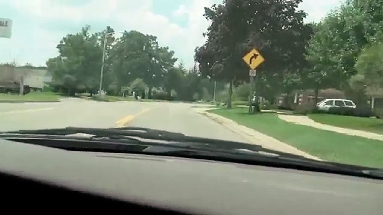 Puppy Burned To Death