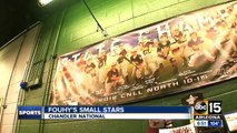 Small Stars: Chandler National All-Stars win third state title