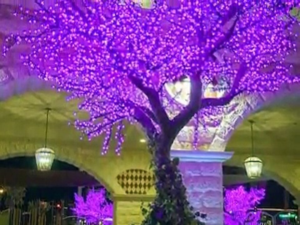 Symphonie du nouveau Monde Dvorak