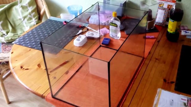 Ameisen - Lasius niger Videobericht #05