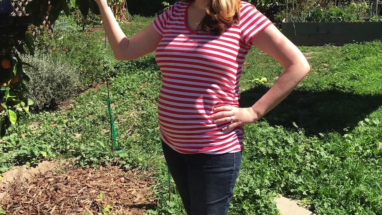 23 Week Pregnancy Vlog - Diet, Exercise & Weight Gain