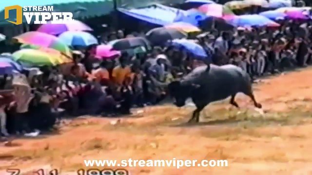 15 Most Awful Animal Attacks On Human PT02 | The Deadliest Attacks