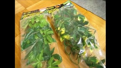 The EXO TERRA JUNGLE PLANT unboxing and review
