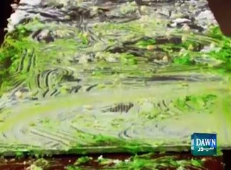 Workers attacked on cake and food in PTI Vehari convention