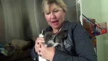 Big Day of Giving - Kittens  Dumped at the Dump