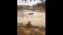 LiveLeak - Extremely Lucky Driver Survives after Navigating Through Flood Waters-copypasteads.com