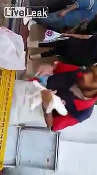 LiveLeak - Feeding birds in Eygpt-copypasteads.com