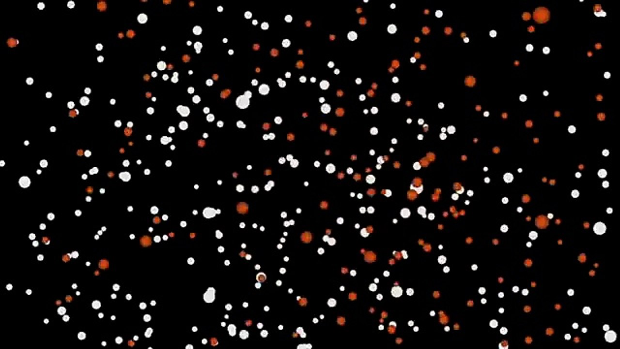 Lawyer activist goes berserk, accuses NGO of stealing Orang Asli aid