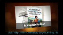 Dog Separation Anxiety Training