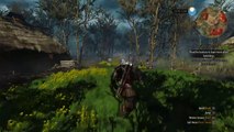 Let play witcher 3 wild hunt part 55 commentary