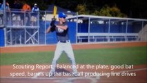 Alex Batistatos Hobart Brickies Baseball Scouting Video 2013