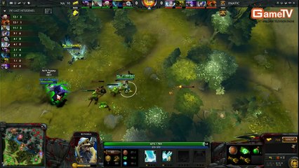 NaVi vs Fnatic Game 1 SLTV SS8 19 1 2014