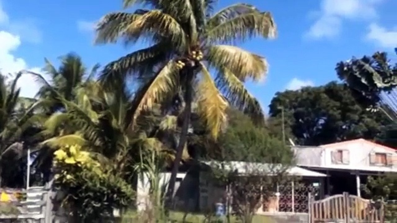 Petit Canal - Les marches des esclaves - Guadeloupe