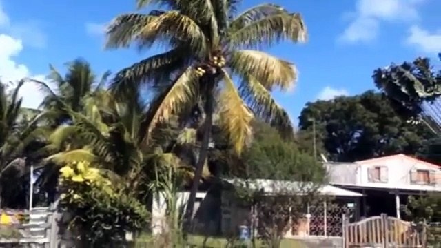 Petit Canal - Les marches des esclaves - Guadeloupe