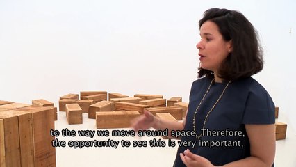 Carl Andre Escultura como lugar, 1958-2010